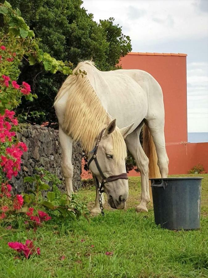 Quinta Da Falesia - Casa Amarela Πόντα Ντελγκάντα Εξωτερικό φωτογραφία
