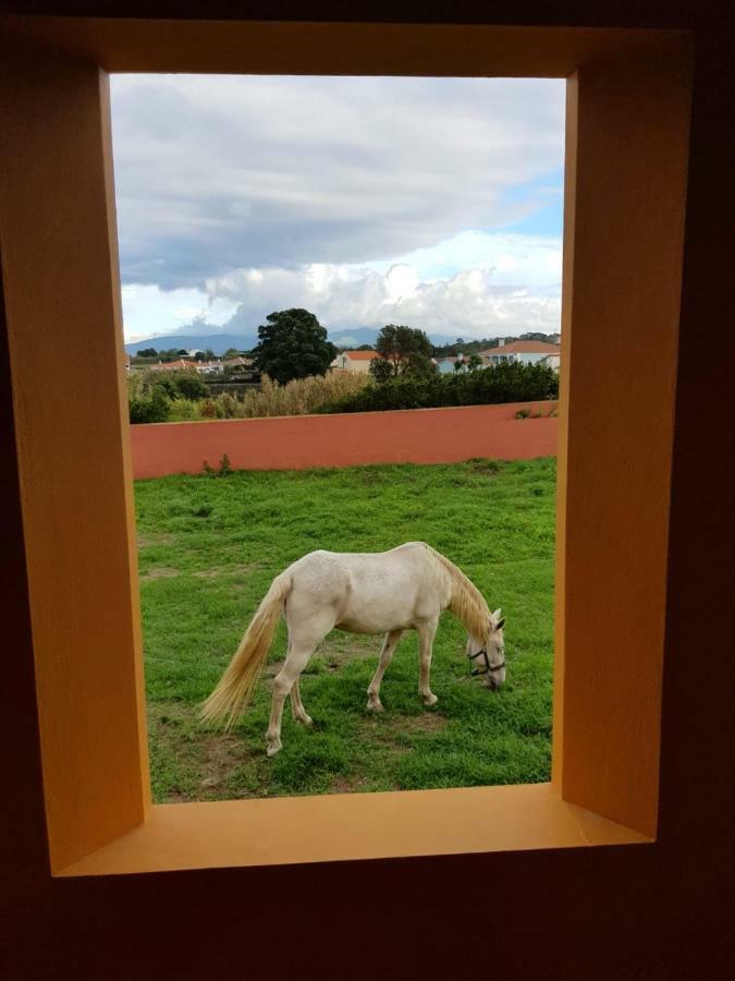 Quinta Da Falesia - Casa Amarela Πόντα Ντελγκάντα Εξωτερικό φωτογραφία