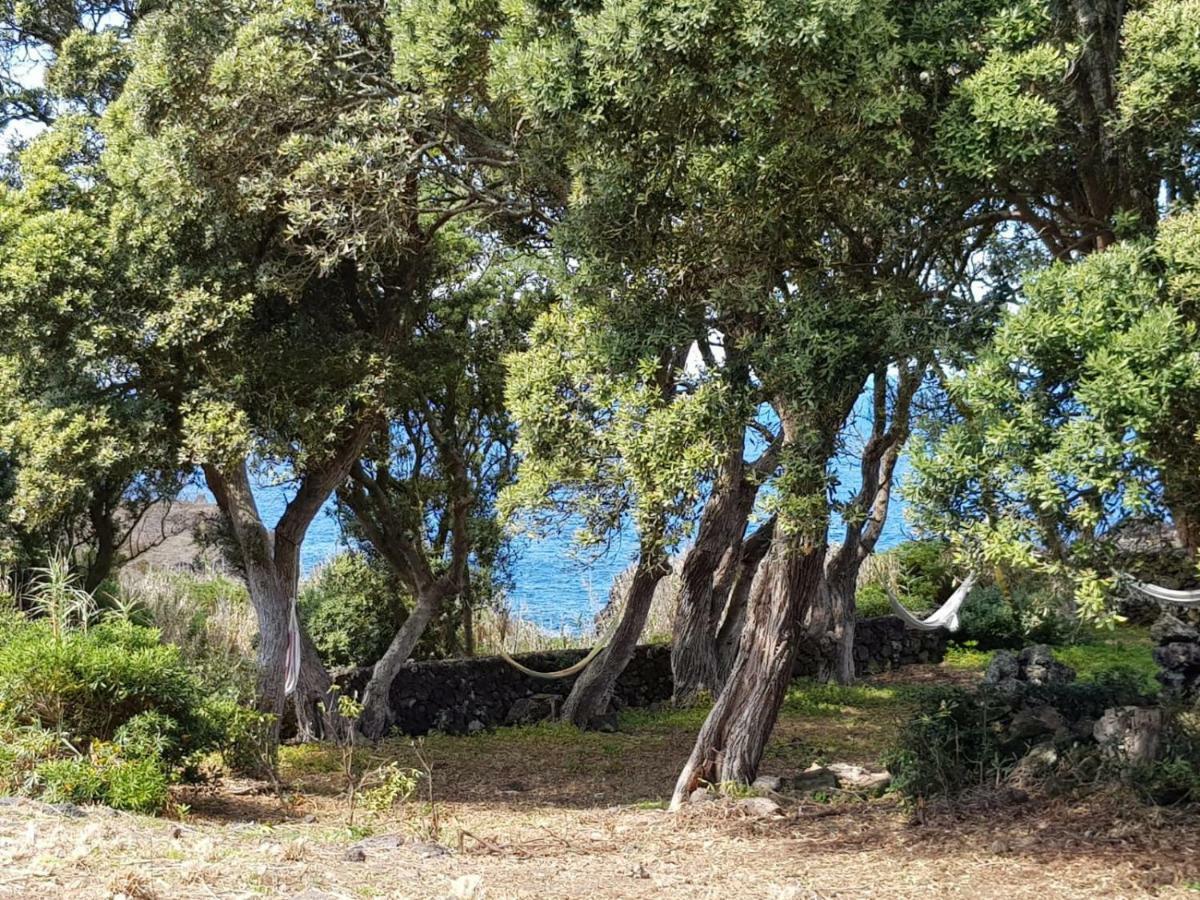 Quinta Da Falesia - Casa Amarela Πόντα Ντελγκάντα Εξωτερικό φωτογραφία